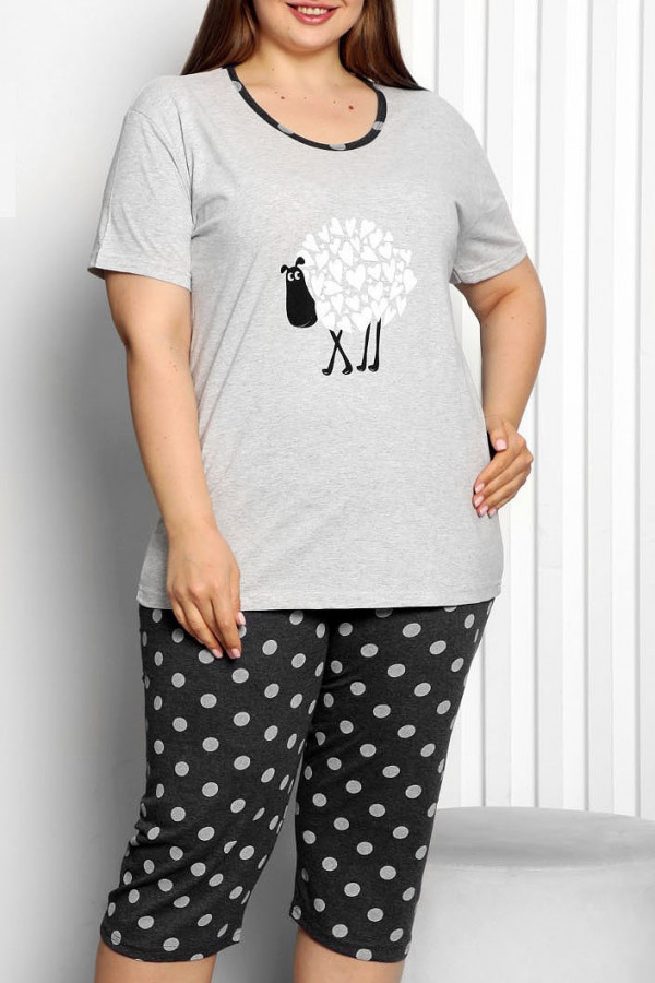 Piżama damska plus size w kolorze szarym komplet t-shirt + spodenki owieczka