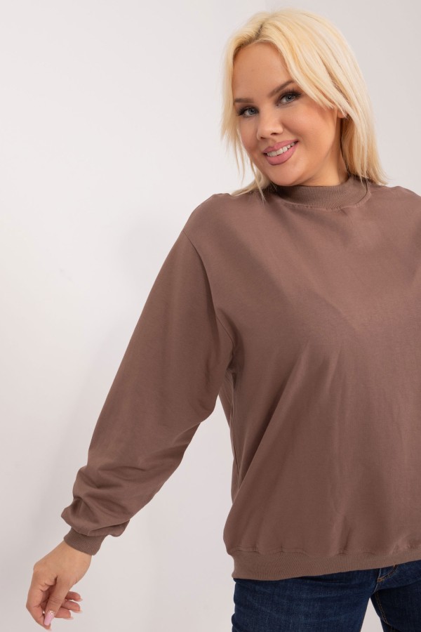 Bluza damska plus size w kolorze brązowym oversize basic Ravena 1